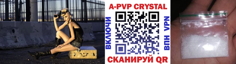 Купить закладки  Фокино  Alpha PVP СК КРИС 