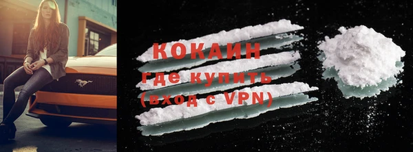 хмурый Магас