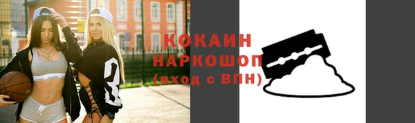хмурый Магас
