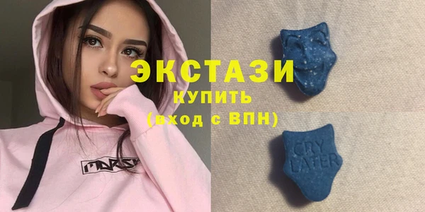 хмурый Магас