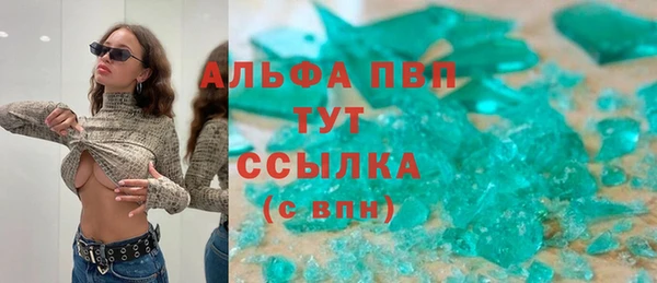 хмурый Магас