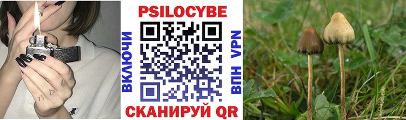 Псилоцибиновые грибы ЛСД  Купить  Фокино 